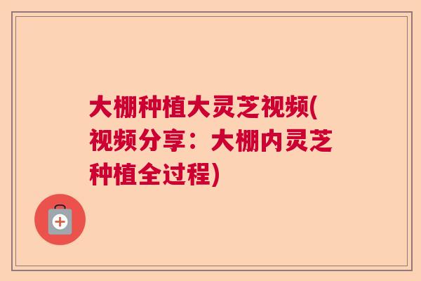 大棚种植大灵芝视频(视频分享：大棚内灵芝种植全过程)  第1张