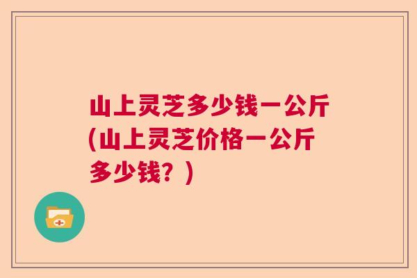 山上灵芝多少钱一公斤(山上灵芝价格一公斤多少钱？)  第1张