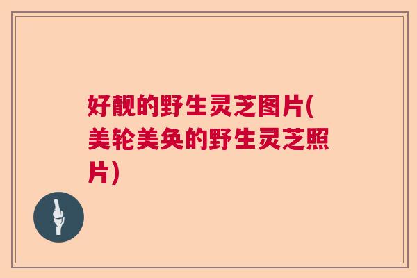 好靓的野生灵芝图片(美轮美奂的野生灵芝照片)  第1张