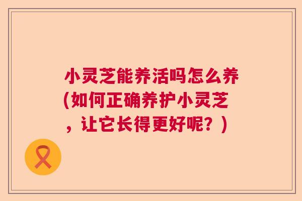 小灵芝能养活吗怎么养(如何正确养护小灵芝，让它长得更好呢？)  第1张