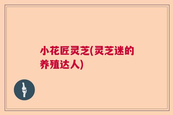 小花匠灵芝(灵芝迷的养殖达人)  第1张