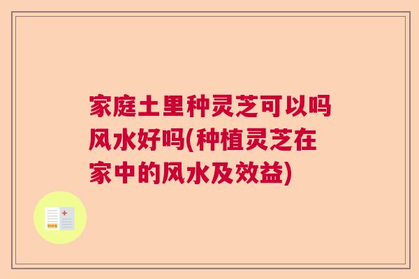 家庭土里种灵芝可以吗风水好吗(种植灵芝在家中的风水及效益)  第1张