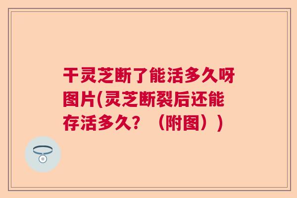 干灵芝断了能活多久呀图片(灵芝断裂后还能存活多久？（附图）)  第1张