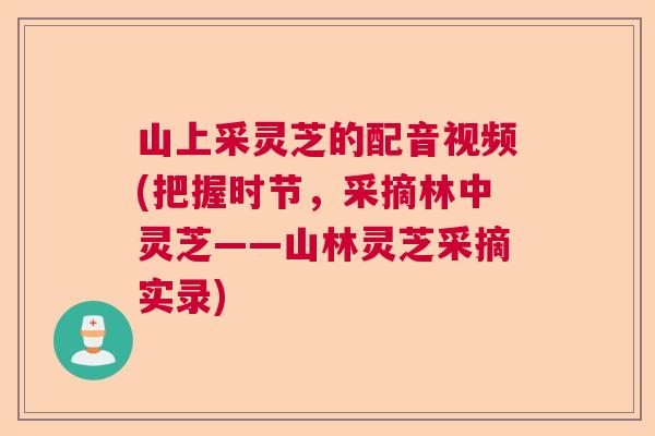 山上采灵芝的配音视频(把握时节，采摘林中灵芝——山林灵芝采摘实录)  第1张