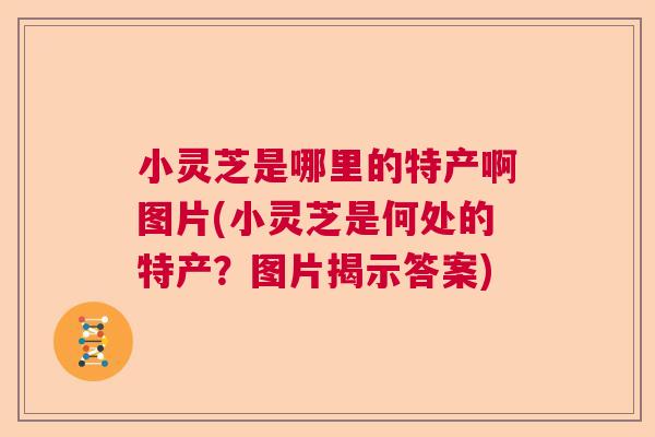 小灵芝是哪里的特产啊图片(小灵芝是何处的特产？图片揭示答案)  第1张