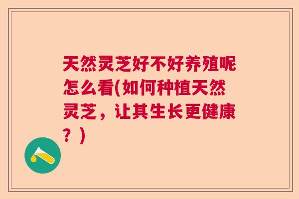 天然灵芝好不好养殖呢怎么看(如何种植天然灵芝，让其生长更健康？)  第1张