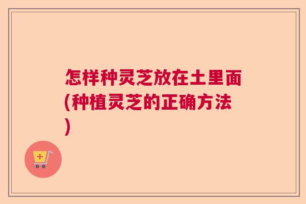 怎样种灵芝放在土里面(种植灵芝的正确方法)  第1张