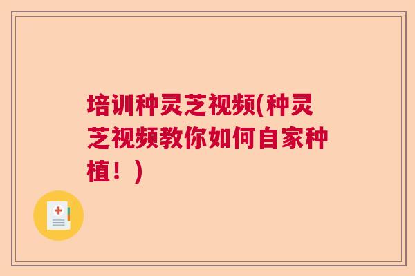 培训种灵芝视频(种灵芝视频教你如何自家种植！)  第1张