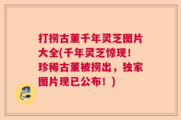 打捞古董千年灵芝图片大全(千年灵芝惊现！珍稀古董被捞出，独家图片现已公布！)  第1张