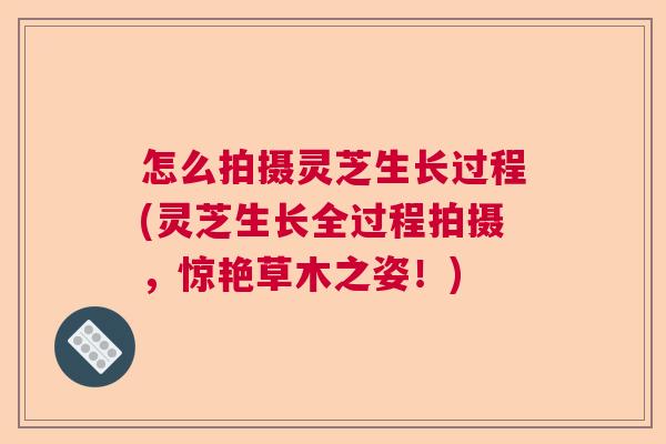 怎么拍摄灵芝生长过程(灵芝生长全过程拍摄，惊艳草木之姿！)  第1张