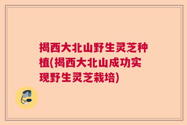 揭西大北山野生灵芝种植(揭西大北山成功实现野生灵芝栽培)  第1张