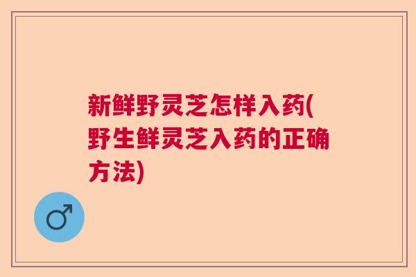 新鲜野灵芝怎样入药(野生鲜灵芝入药的正确方法)  第1张