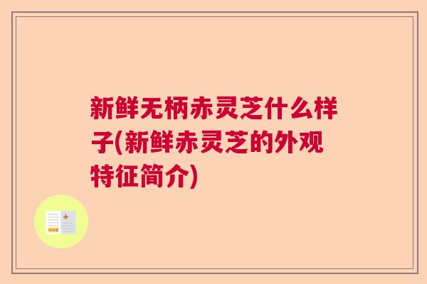 新鲜无柄赤灵芝什么样子(新鲜赤灵芝的外观特征简介)  第1张