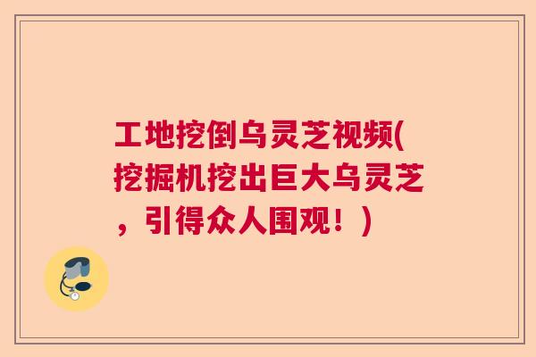 工地挖倒乌灵芝视频(挖掘机挖出巨大乌灵芝，引得众人围观！)  第1张