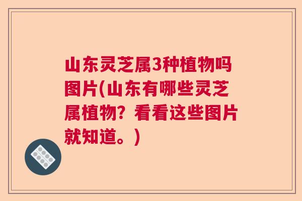 山东灵芝属3种植物吗图片(山东有哪些灵芝属植物？看看这些图片就知道。)  第1张
