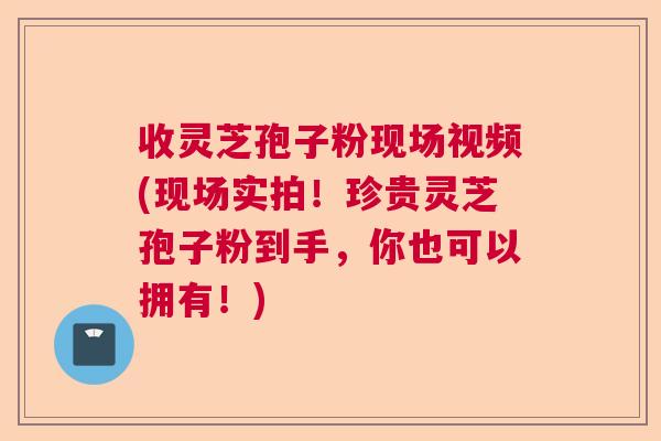 收灵芝孢子粉现场视频(现场实拍！珍贵灵芝孢子粉到手，你也可以拥有！)  第1张