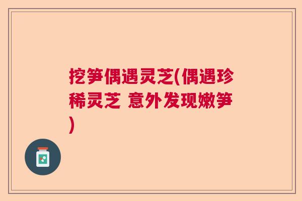 挖笋偶遇灵芝(偶遇珍稀灵芝 意外发现嫩笋)  第1张