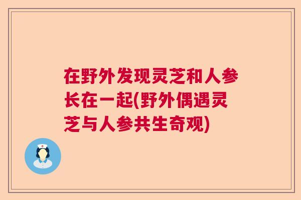在野外发现灵芝和人参长在一起(野外偶遇灵芝与人参共生奇观)  第1张