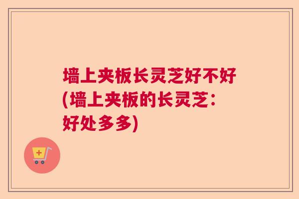 墙上夹板长灵芝好不好(墙上夹板的长灵芝：好处多多)  第1张