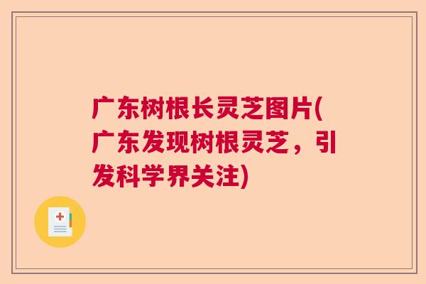 广东树根长灵芝图片(广东发现树根灵芝，引发科学界关注)  第1张