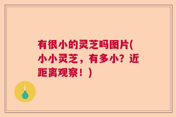 有很小的灵芝吗图片(小小灵芝，有多小？近距离观察！)  第1张
