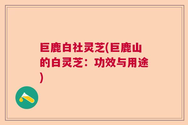 巨鹿白社灵芝(巨鹿山的白灵芝：功效与用途)  第1张