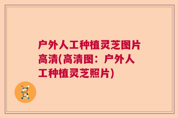 户外人工种植灵芝图片高清(高清图：户外人工种植灵芝照片)  第1张