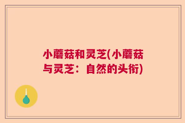 小蘑菇和灵芝(小蘑菇与灵芝：自然的头衔)  第1张