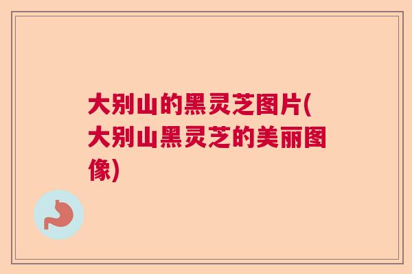大别山的黑灵芝图片(大别山黑灵芝的美丽图像)  第1张