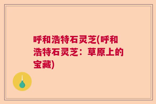 呼和浩特石灵芝(呼和浩特石灵芝：草原上的宝藏)  第1张