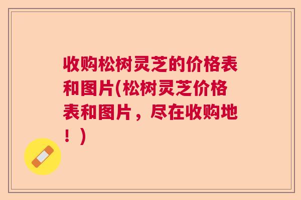 收购松树灵芝的价格表和图片(松树灵芝价格表和图片，尽在收购地！)  第1张
