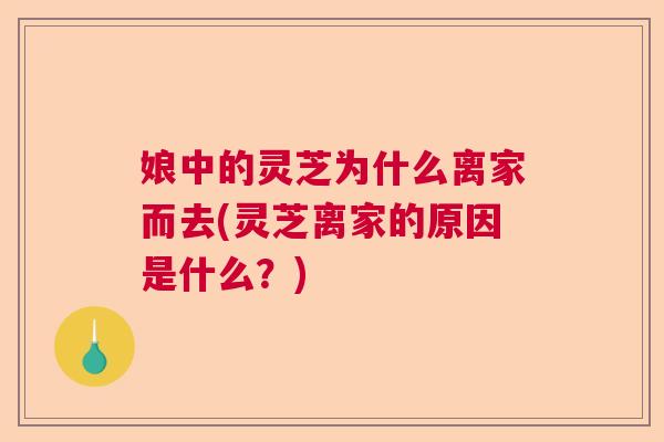 娘中的灵芝为什么离家而去(灵芝离家的原因是什么？)  第1张