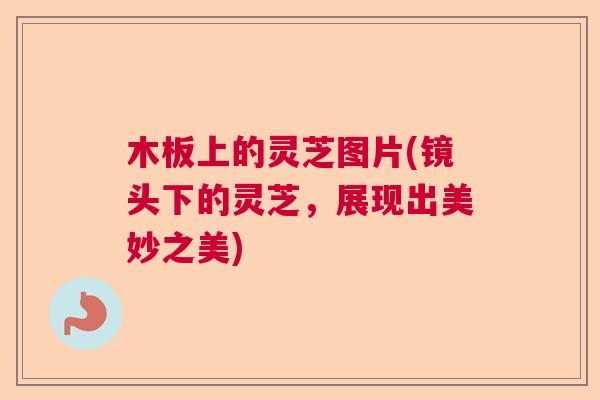 木板上的灵芝图片(镜头下的灵芝，展现出美妙之美)  第1张