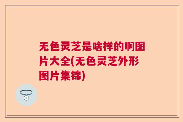 无色灵芝是啥样的啊图片大全(无色灵芝外形图片集锦)  第1张
