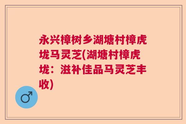 永兴樟树乡湖塘村樟虎垅马灵芝(湖塘村樟虎垅：滋补佳品马灵芝丰收)  第1张