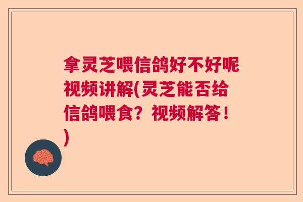 拿灵芝喂信鸽好不好呢视频讲解(灵芝能否给信鸽喂食？视频解答！)  第1张