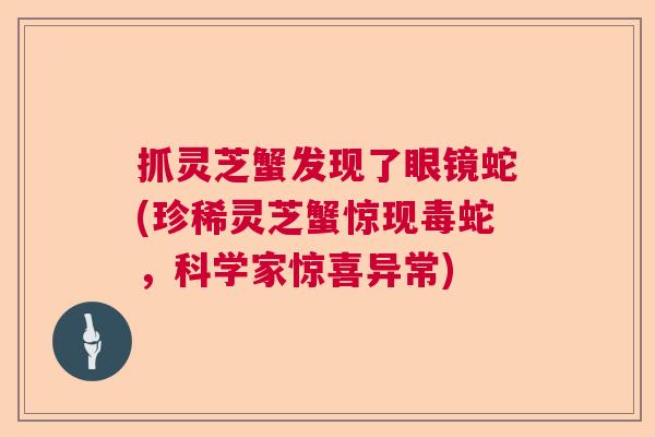 抓灵芝蟹发现了眼镜蛇(珍稀灵芝蟹惊现毒蛇，科学家惊喜异常)  第1张