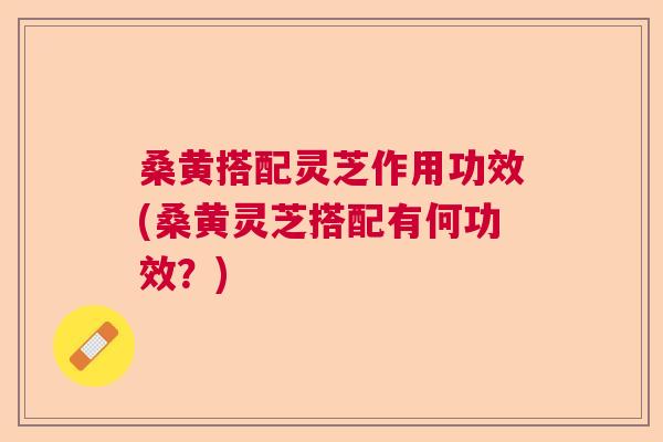 桑黄搭配灵芝作用功效(桑黄灵芝搭配有何功效？)  第1张