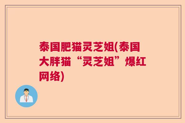 泰国肥猫灵芝姐(泰国大胖猫“灵芝姐”爆红网络)  第1张