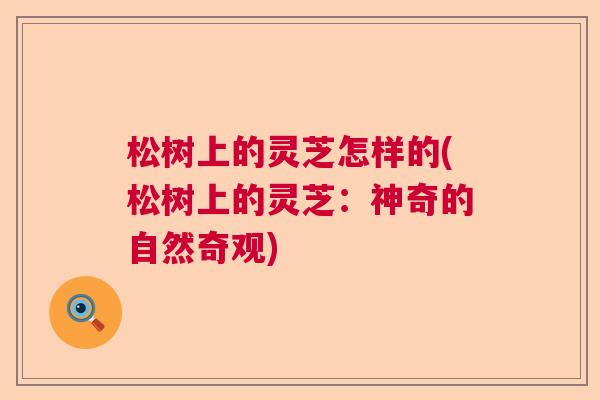 松树上的灵芝怎样的(松树上的灵芝：神奇的自然奇观)  第1张