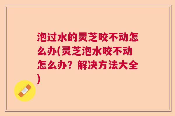 泡过水的灵芝咬不动怎么办(灵芝泡水咬不动怎么办？解决方法大全)  第1张