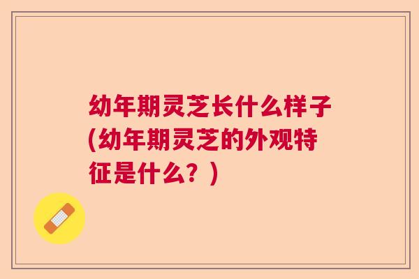 幼年期灵芝长什么样子(幼年期灵芝的外观特征是什么？)  第1张