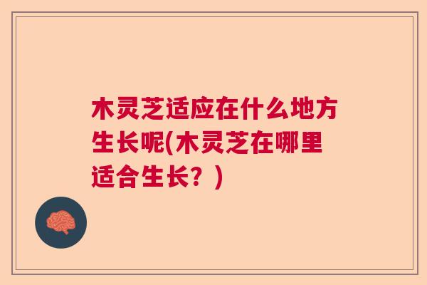 木灵芝适应在什么地方生长呢(木灵芝在哪里适合生长？)  第1张