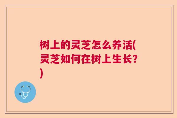 树上的灵芝怎么养活(灵芝如何在树上生长？)  第1张