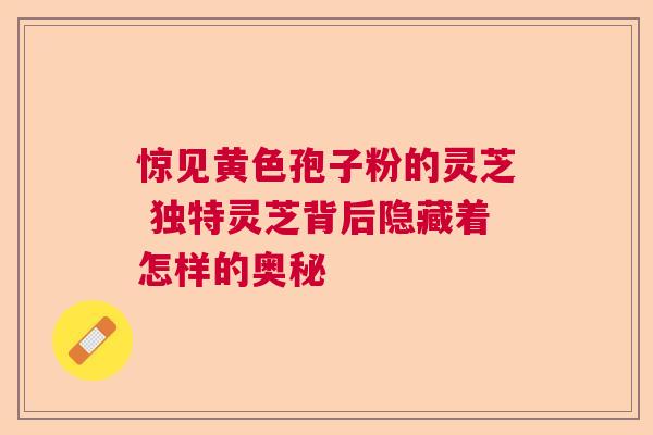 惊见黄色孢子粉的灵芝 独特灵芝背后隐藏着怎样的奥秘  第1张