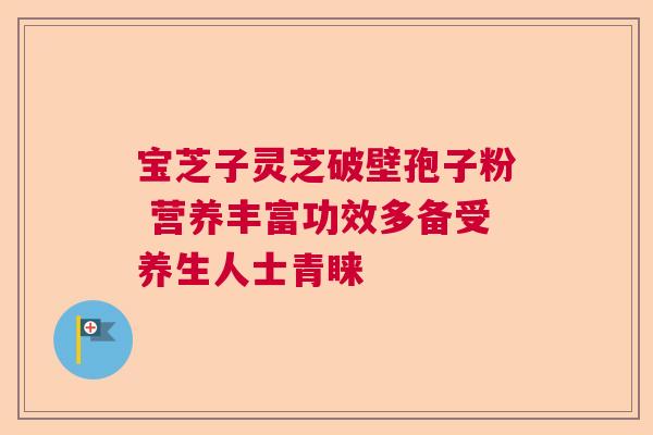 宝芝子灵芝破壁孢子粉 营养丰富功效多备受养生人士青睐  第1张