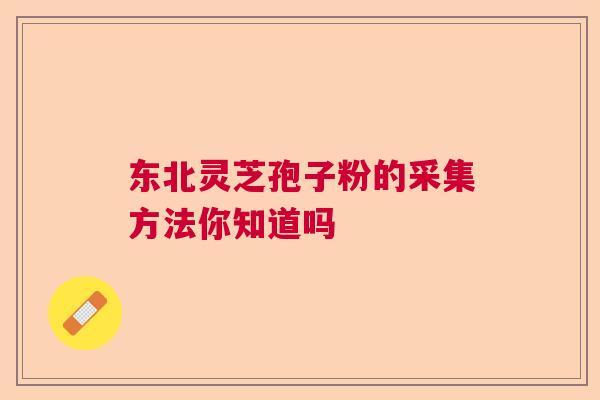 东北灵芝孢子粉的采集方法你知道吗  第1张
