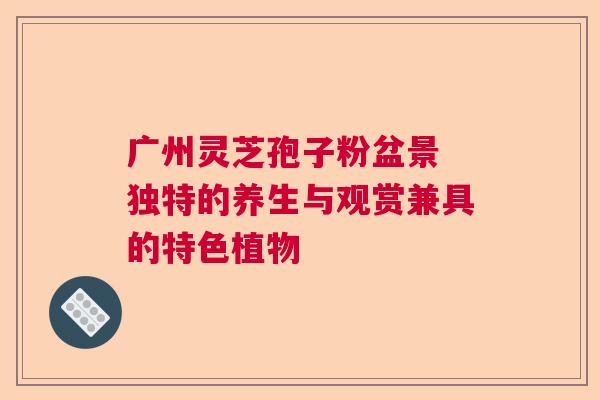 广州灵芝孢子粉盆景 独特的养生与观赏兼具的特色植物  第1张