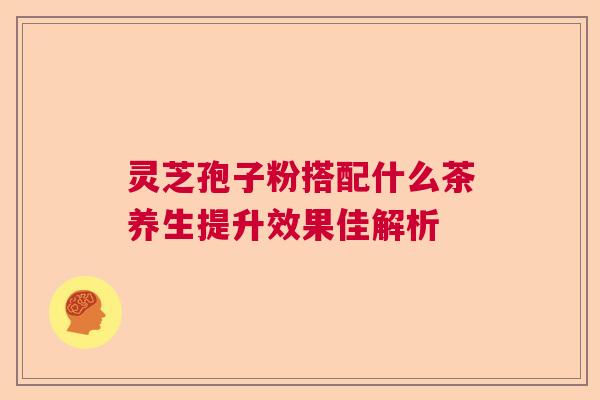 灵芝孢子粉搭配什么茶养生提升效果佳解析  第1张