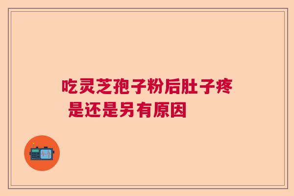 吃灵芝孢子粉后肚子疼 是还是另有原因  第1张